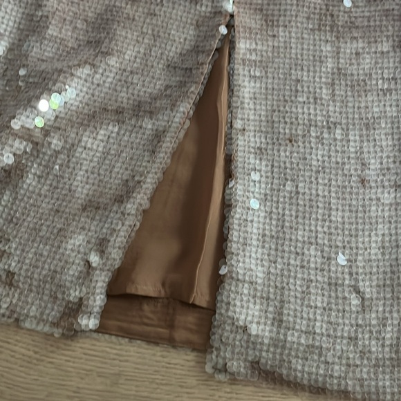 NWT Madewell 00 sequin midi skirt - Picture 4 of 8